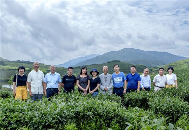 中國(guó)十大茶葉品牌最新排名深度解析與觀點(diǎn)闡述