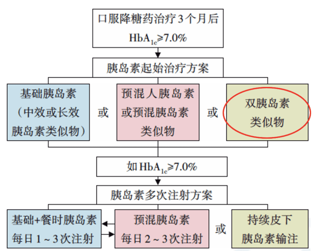 娜塔櫟最新價格,娜塔櫟最新價格，市場走勢與專業(yè)解讀