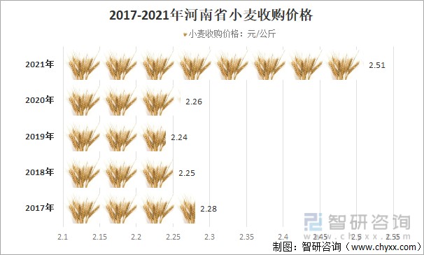 江蘇小麥今日最新價(jià)格揭秘，最新行情動(dòng)態(tài)速遞??