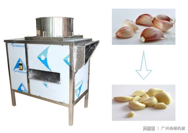 時代變遷中的大蒜處理革新之旅，最新大蒜脫皮機的誕生與運用