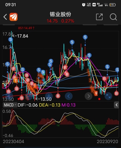 錫業(yè)股份最新動態(tài)與小巷深處的特色小店探秘