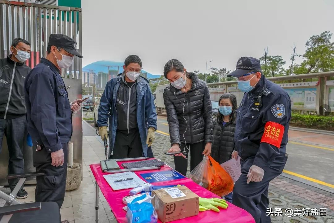 鹽田港股票最新動(dòng)態(tài)與小巷深處的驚喜