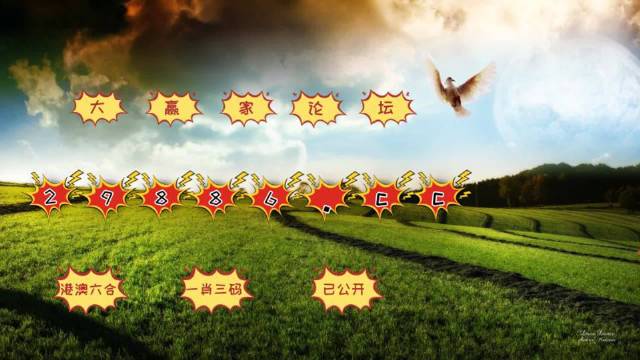 澳門4949開獎(jiǎng)結(jié)果最快推薦，助你選擇幸運(yùn)號(hào)碼