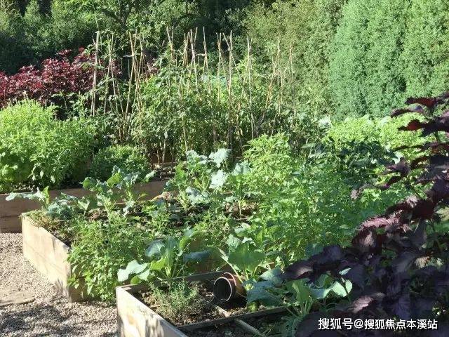 打造私人綠意空間，最新種植技術(shù)助你開啟綠色生活之旅